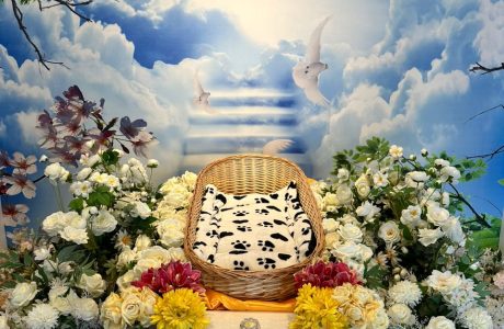 Private Premium Cremation 2024-05-07 at 15.23.04